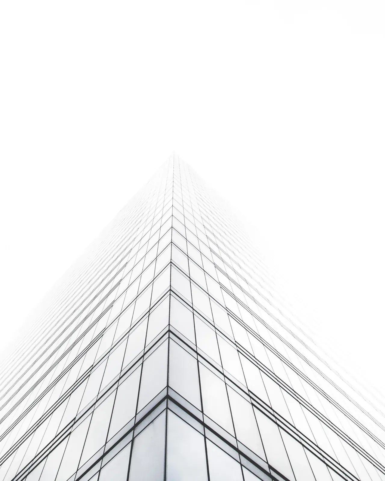 Curtain wall panels catching low light